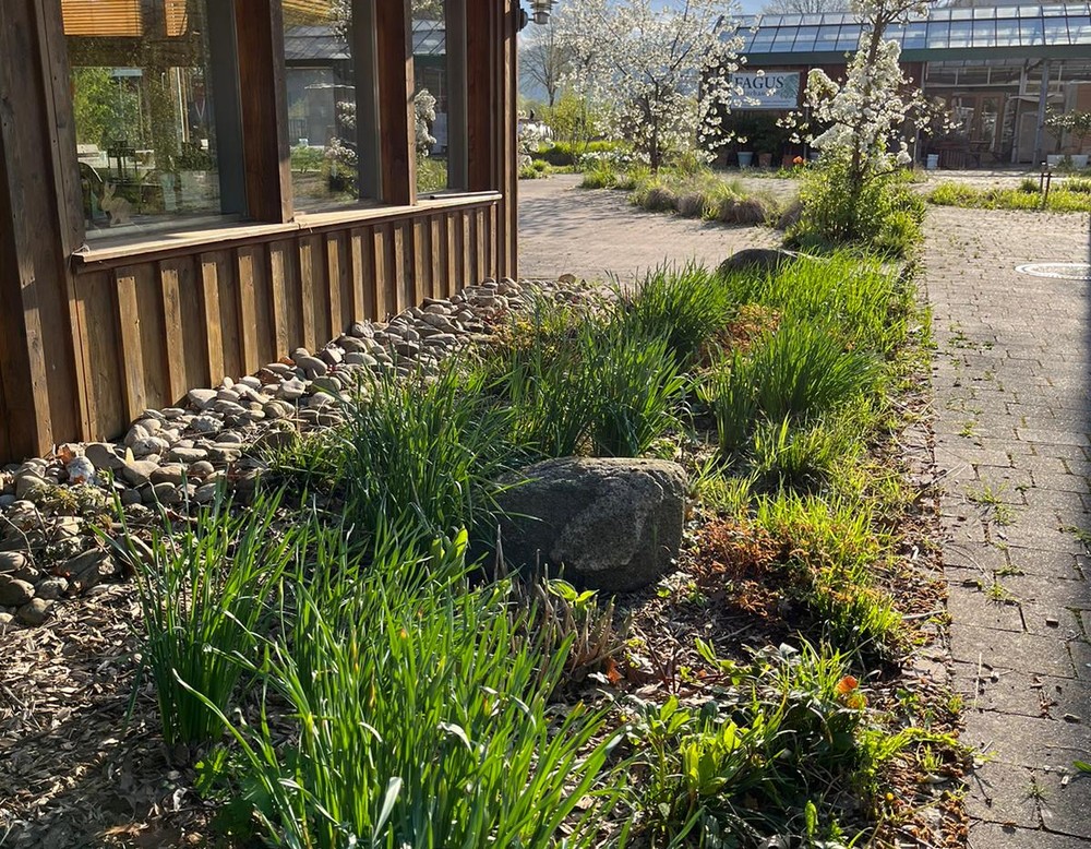 Höxter, Garten River Café