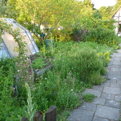 Naturnaher Schrebergarten Fam. Schulte