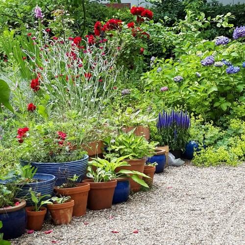 Naturnaher Familiengarten