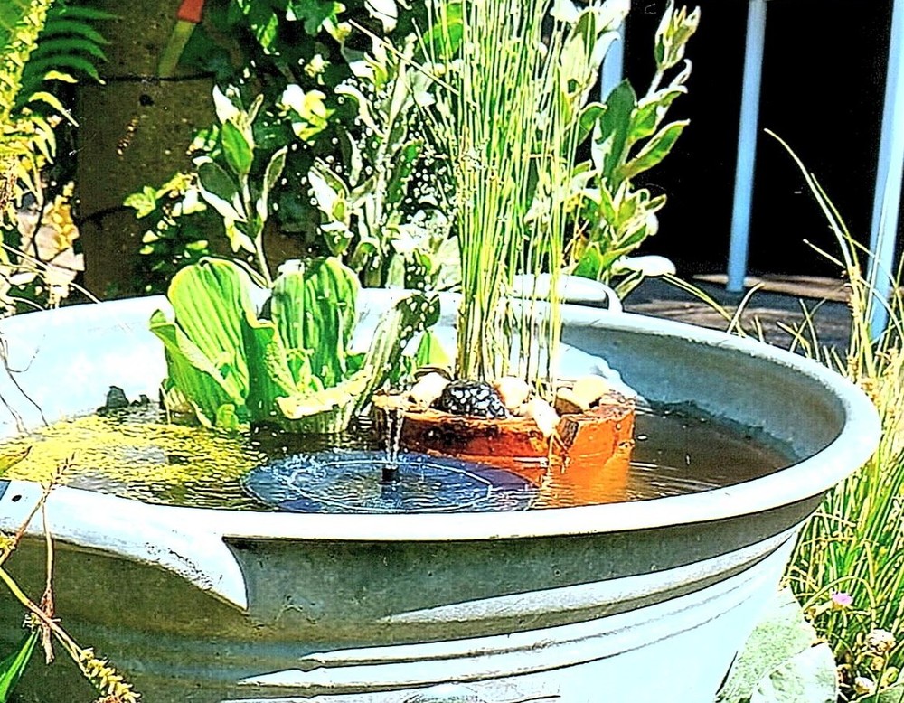 Lüdinghausen, Garten Brückner