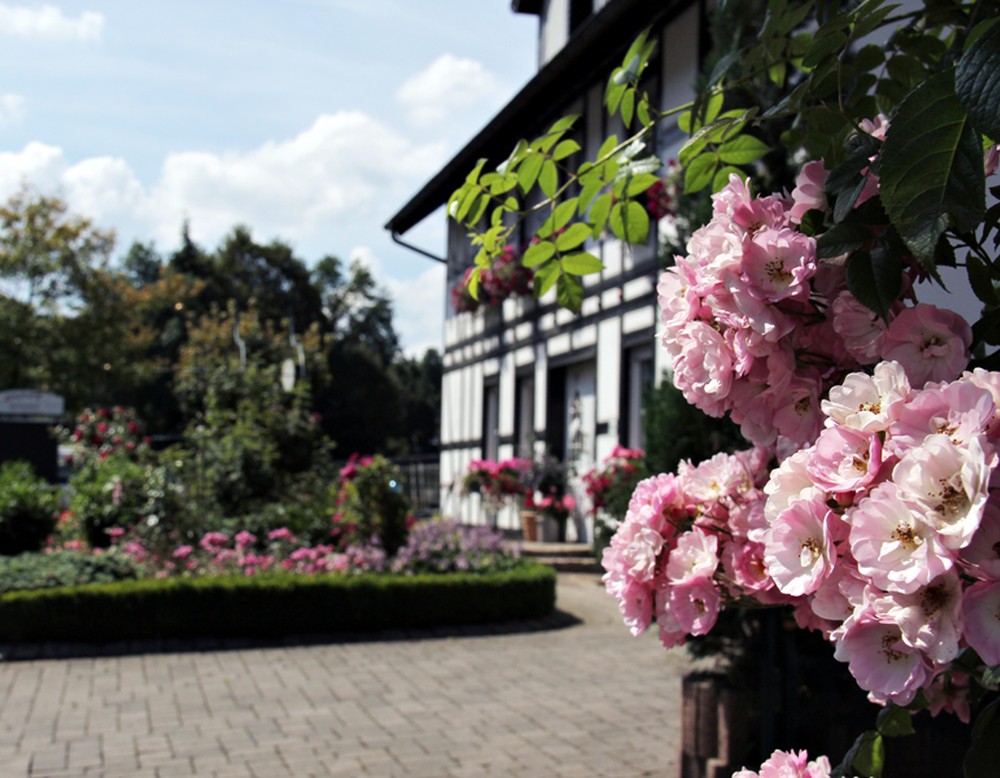 Olsberg, Rosendorf Assinghausen