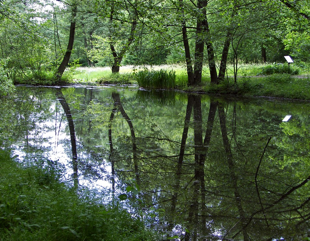 Vlotho, Kurpark Bad Seebruch