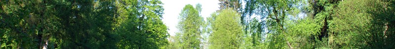 Schieder-Schwalenberg, Schlosspark Schieder
