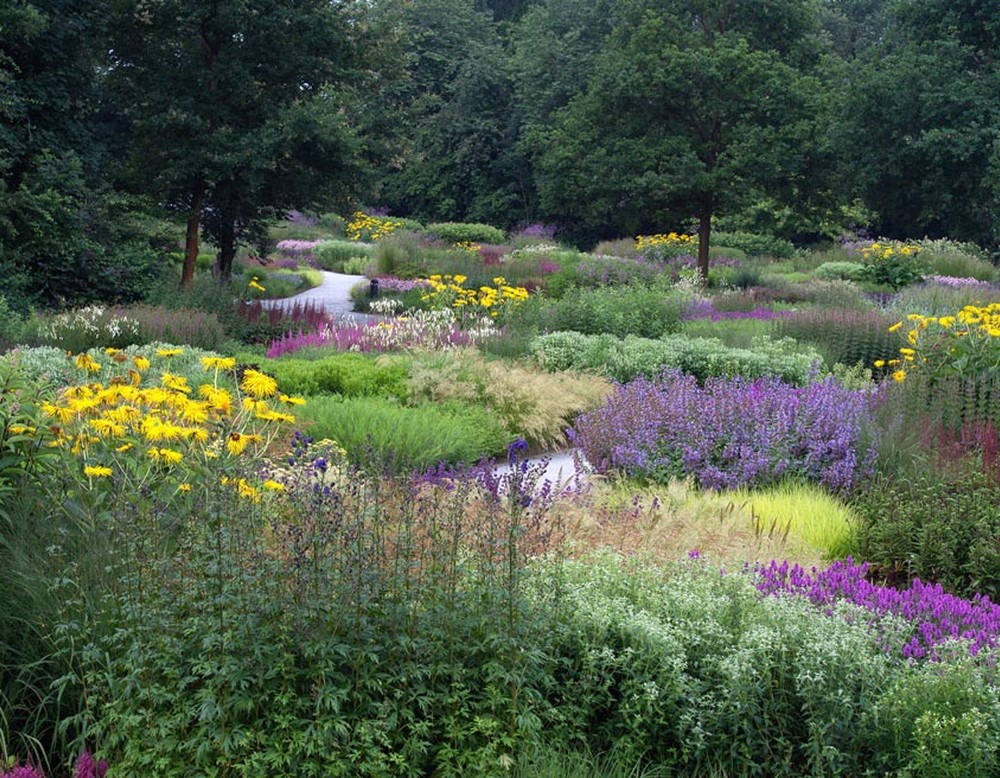 Staudenbeete im Maximilianpark während des Sommers. Diese wurden vom Gartenarchitekten Piet Oudolf angelegt.