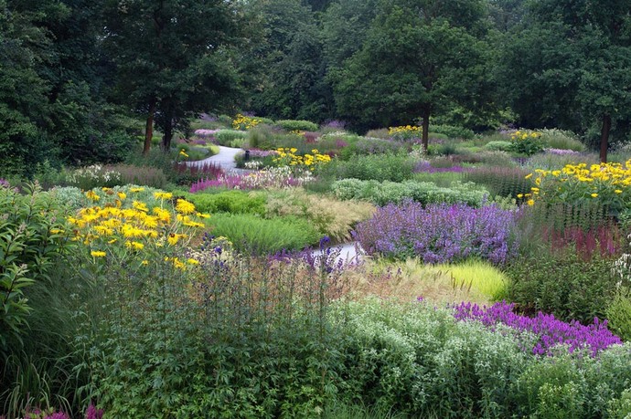 Staudenbeete im Maximilianpark während des Sommers. Diese wurden vom Gartenarchitekten Piet Oudolf angelegt.