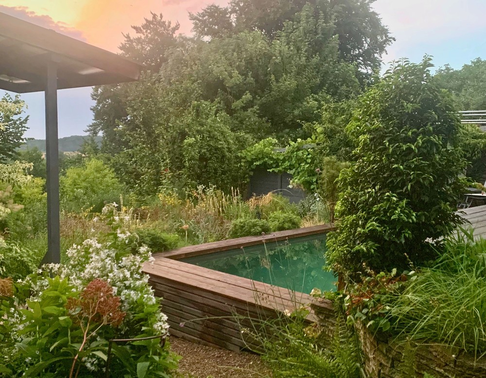 Evelines Schaugarten