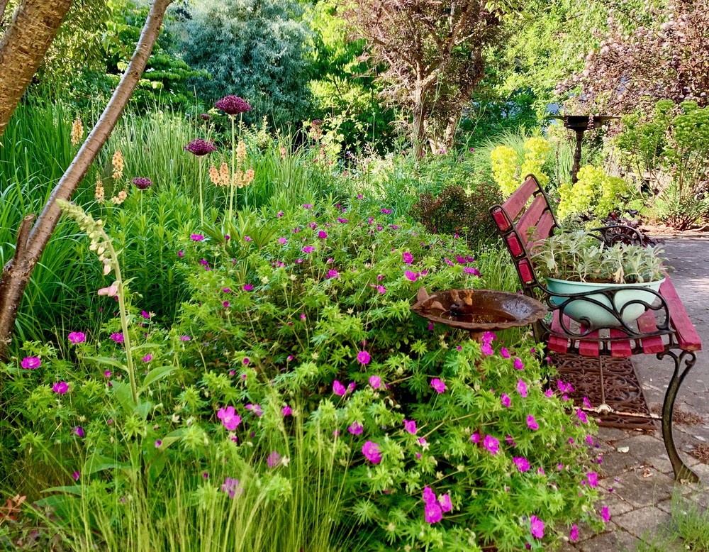 Evelines Schaugarten