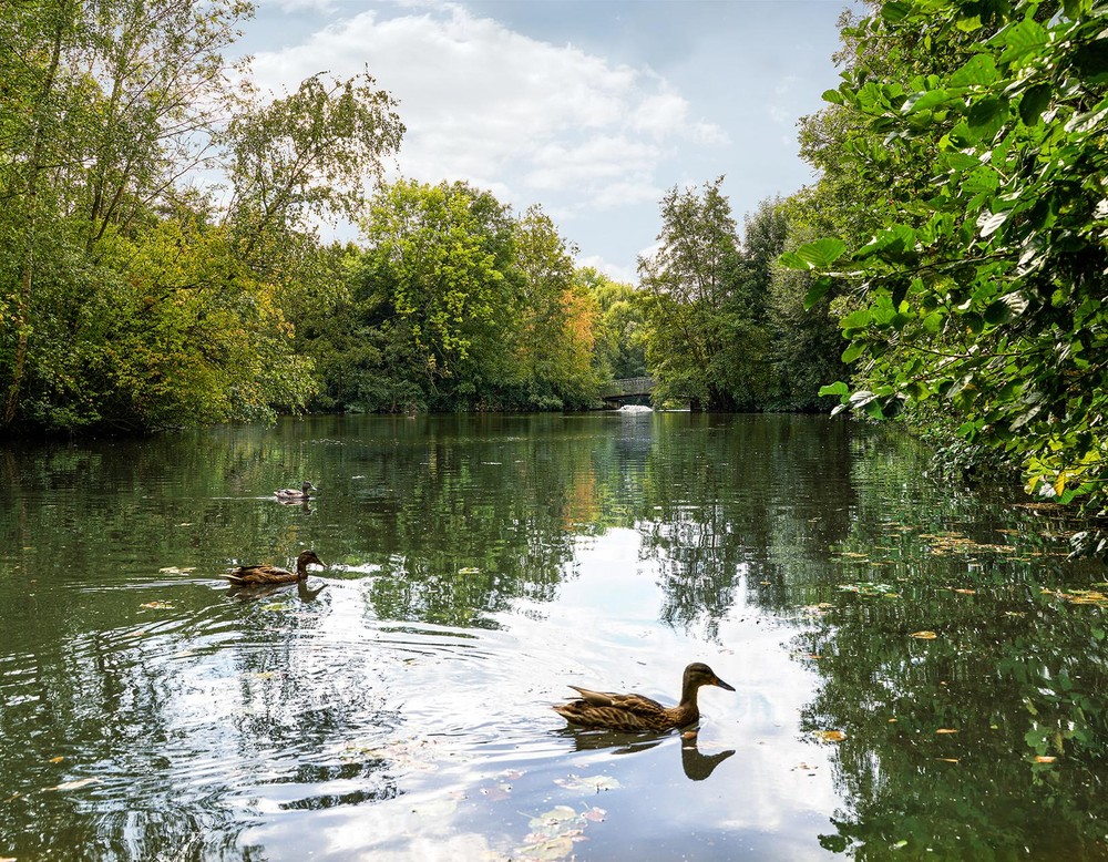 Revierpark Gysenberg in Herne, Waldsee