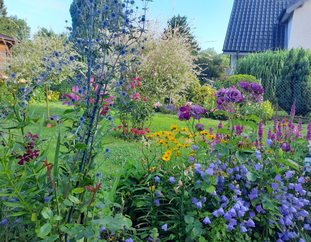 Horstmar, Rosengarten
