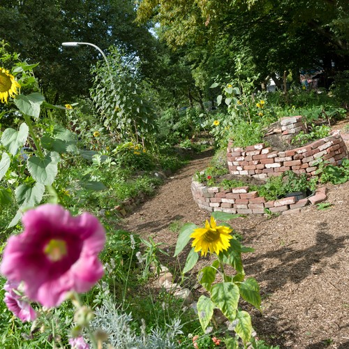 Essbarer Waldgarten 7000 Schmetterlinge
