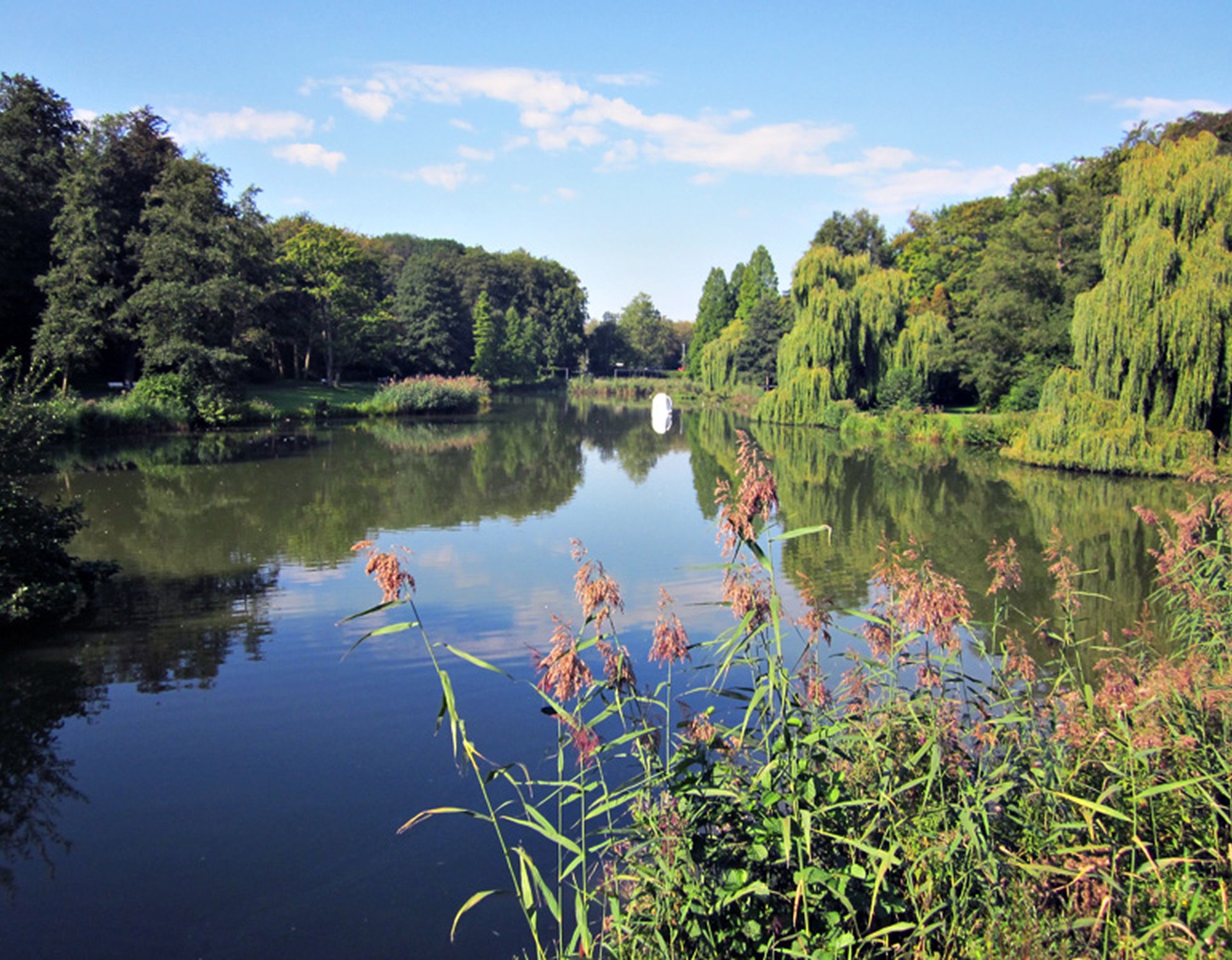 Teich des Kurparks Bad Hamm. Am Ufer rechts stehen einige Trauerweiden.