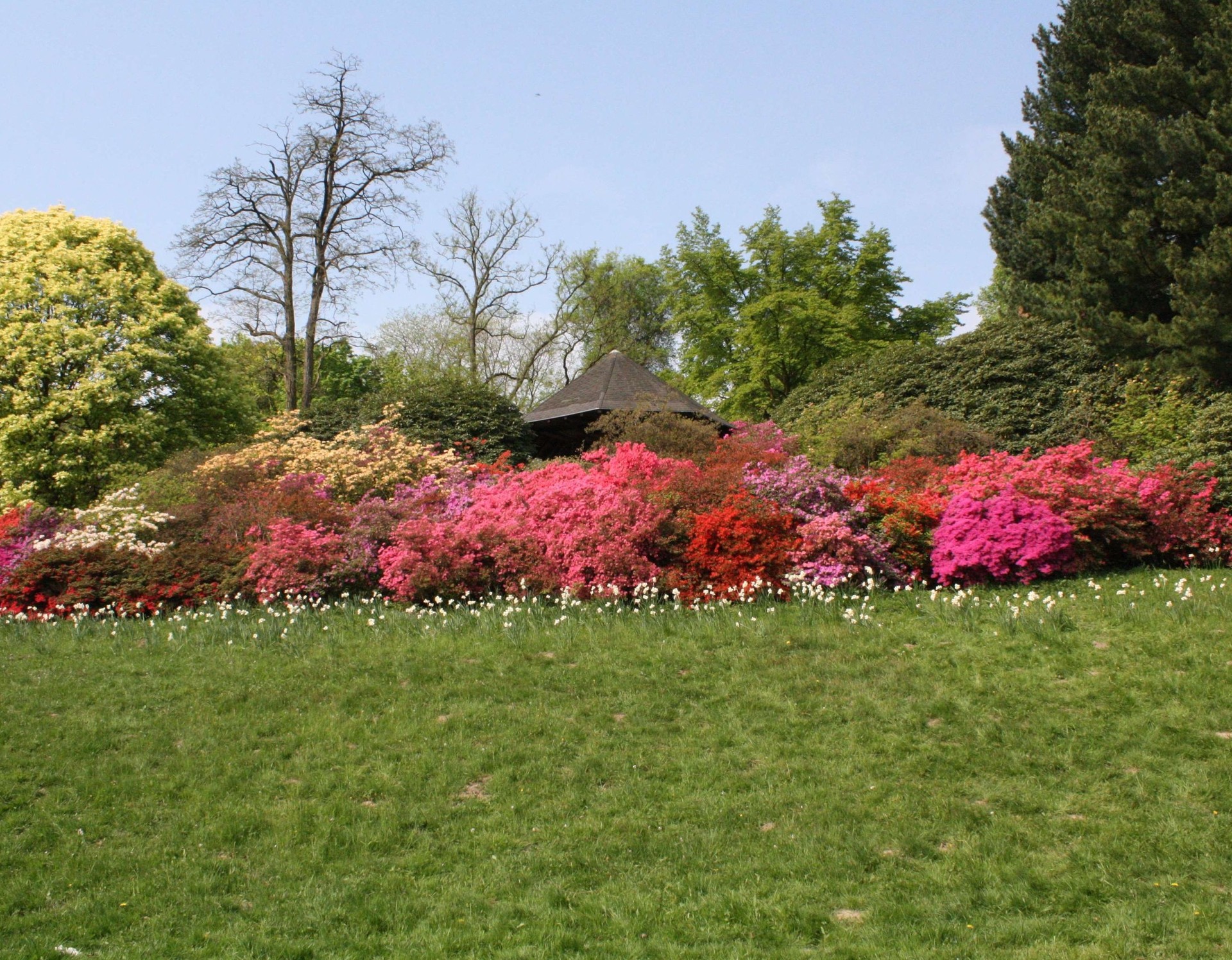 Lwl Dortmund Botanischer Garten Rombergpark Garten Und Parks In Westfalen Lippe