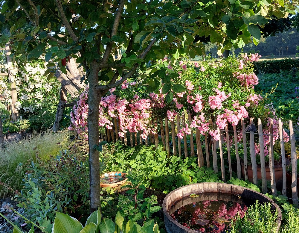 Schermbeck, Garten Michaela und Pascal Paus