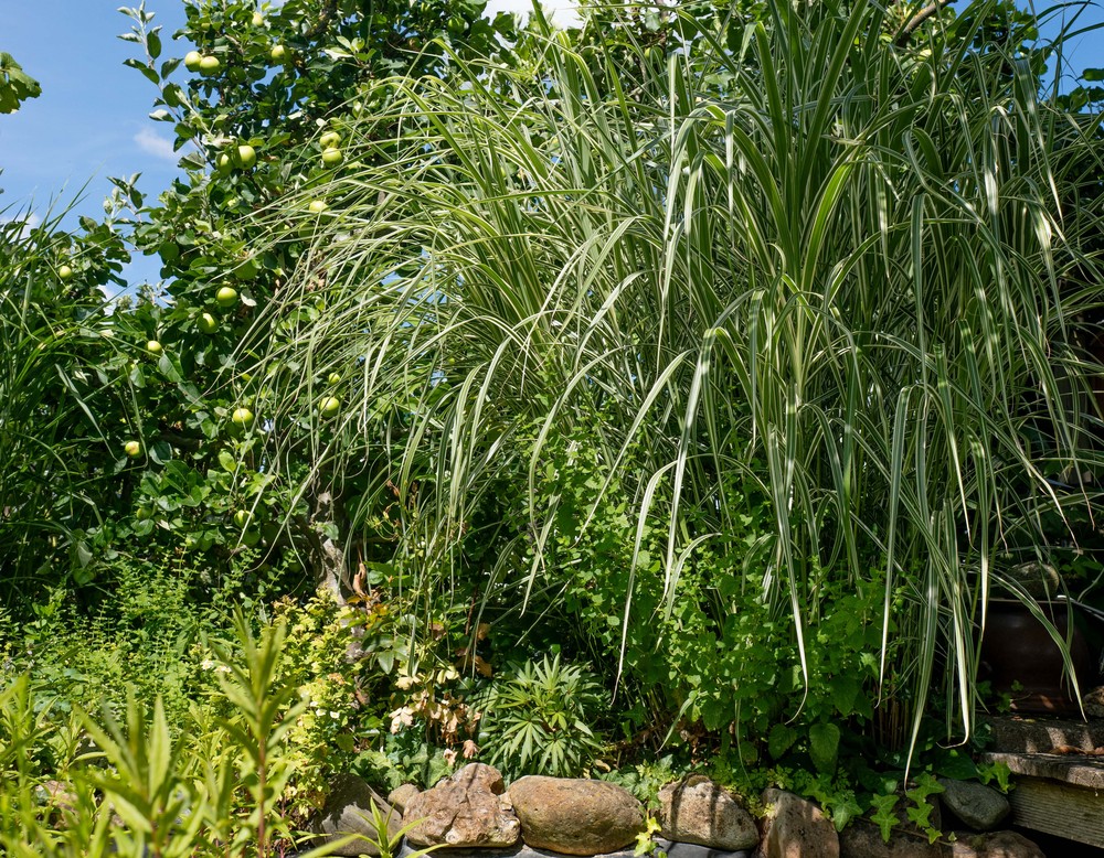 Paderborn, Garten Nowack