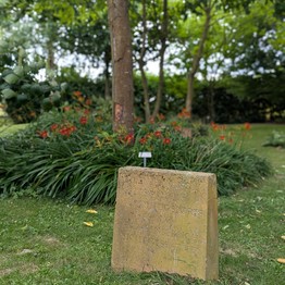 Lippetal, Arboretum Hense