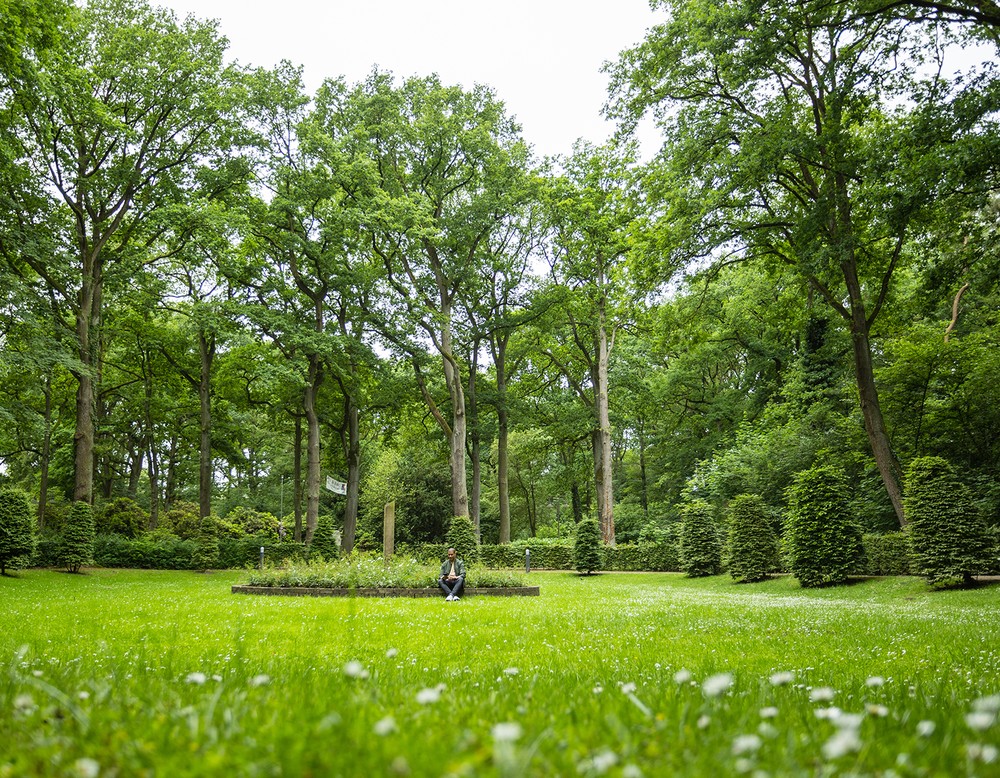 Wiese im Kurpark Bad Waldliesborn. Im Hintergrund sieht man ein kleines Beet sowie viele Bäume.