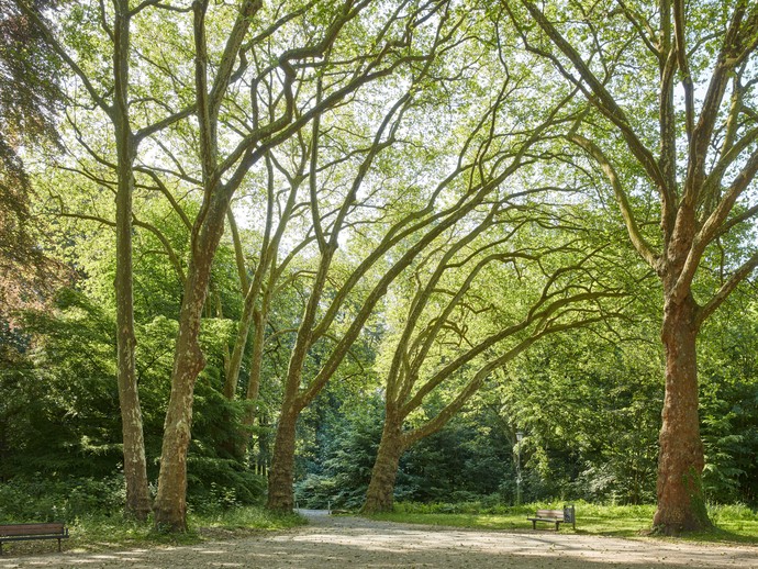 Fredenbaumpark Dortmund