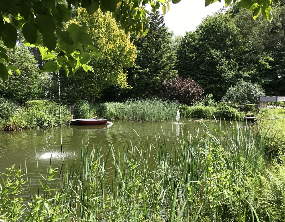 Gescher, Garten-Elfen Art