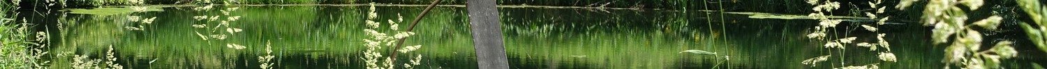 Schieder-Schwalenberg, Schlosspark Schieder