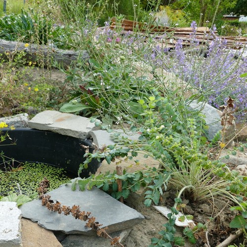 Dortmund: NABU-Ruhrgebietsgarten