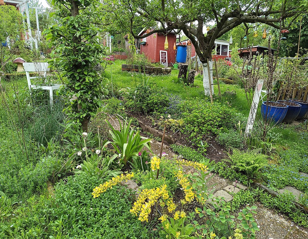 Essen, Tinas Naturkleingarten