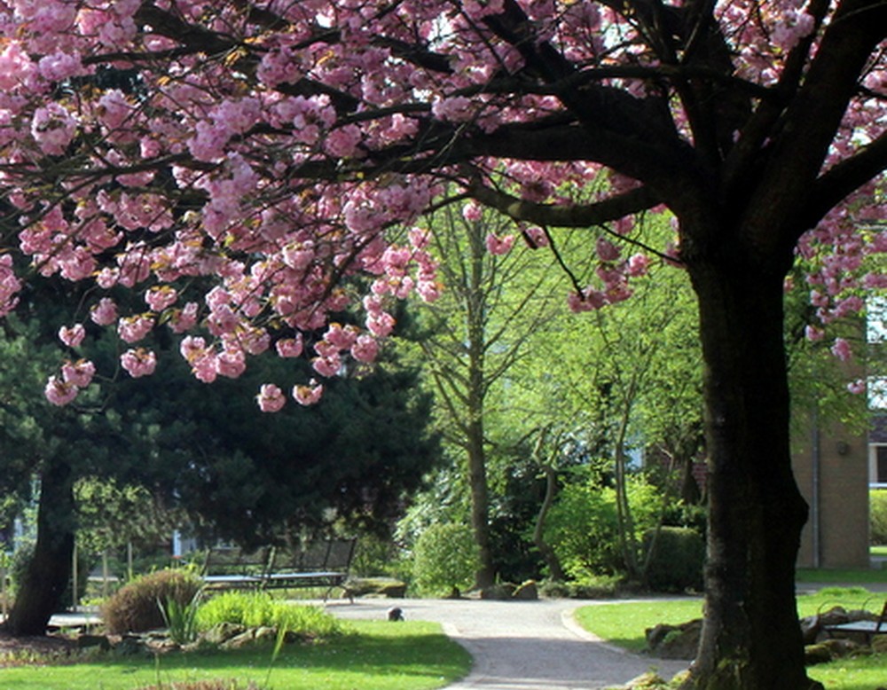 Nottuln, Elisabeth-Park