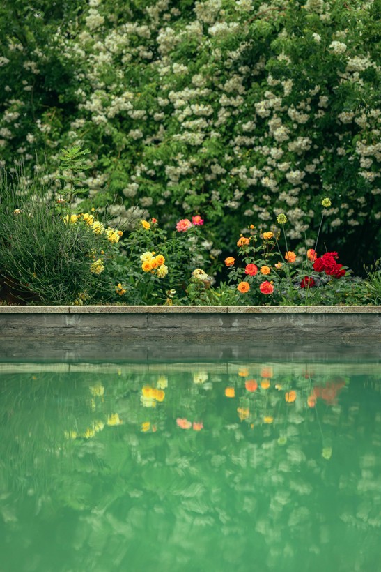Pool mit Blumen im Hintergrund