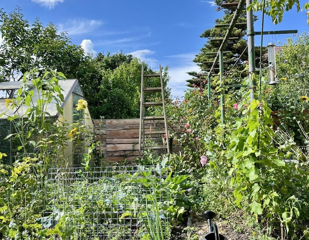 Dortmund, Vom Zechenhausgarten zum Naturgarten