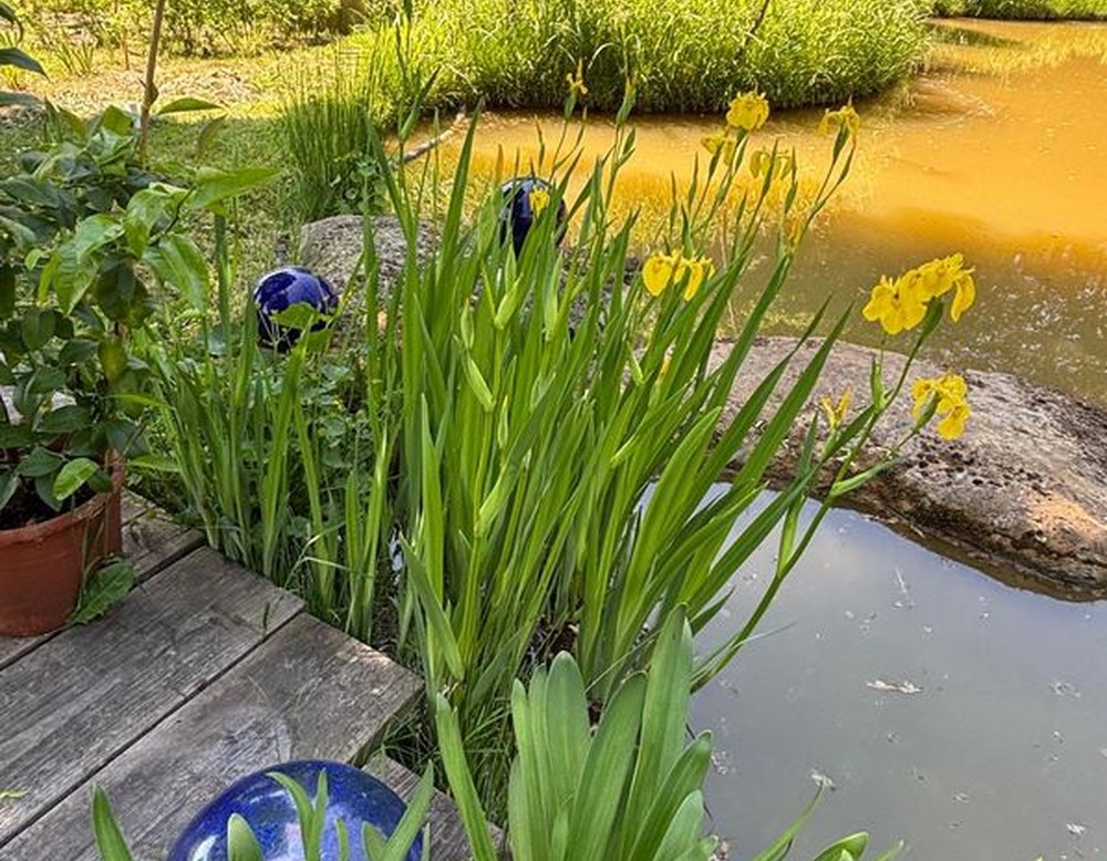 Westruper-Landgarten