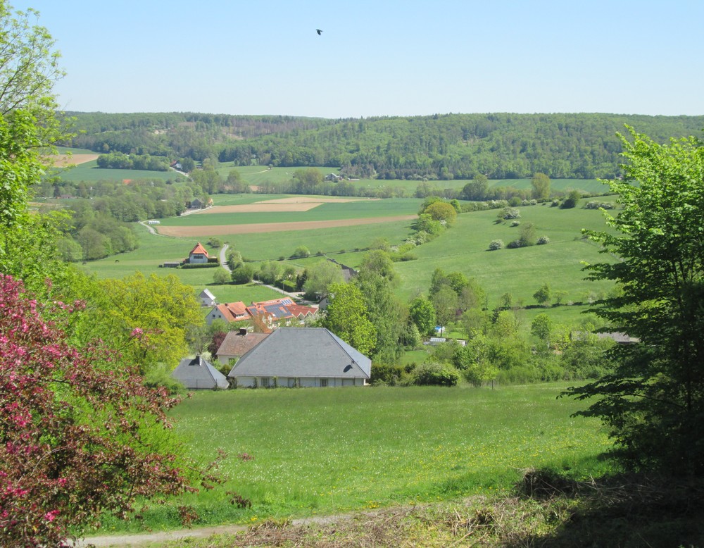 Bad Driburg, Buddenberg-Arboretum