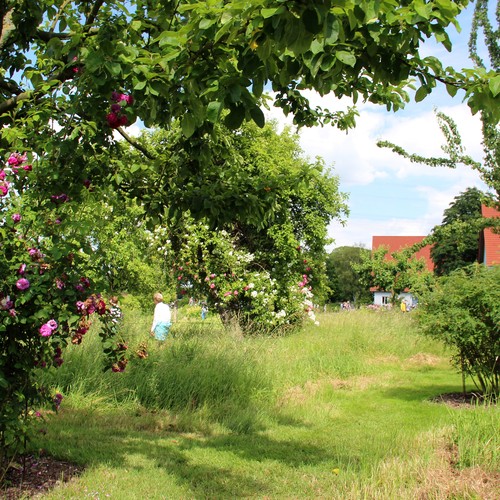Bauernpark Bolhof