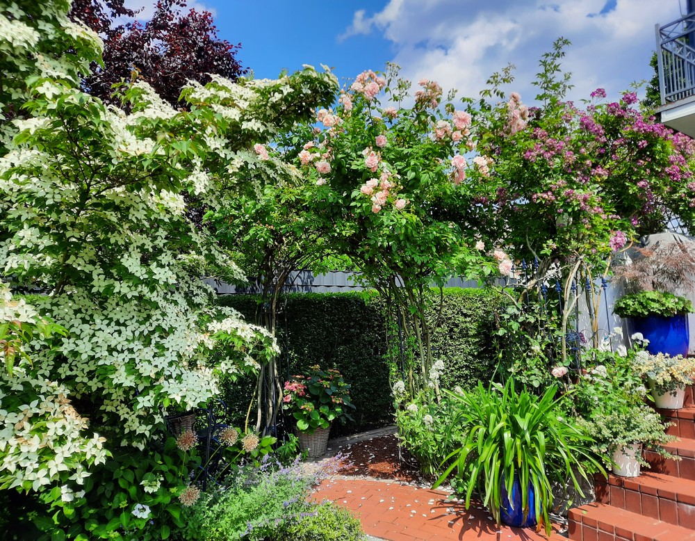 Hamm, Cottage Garten