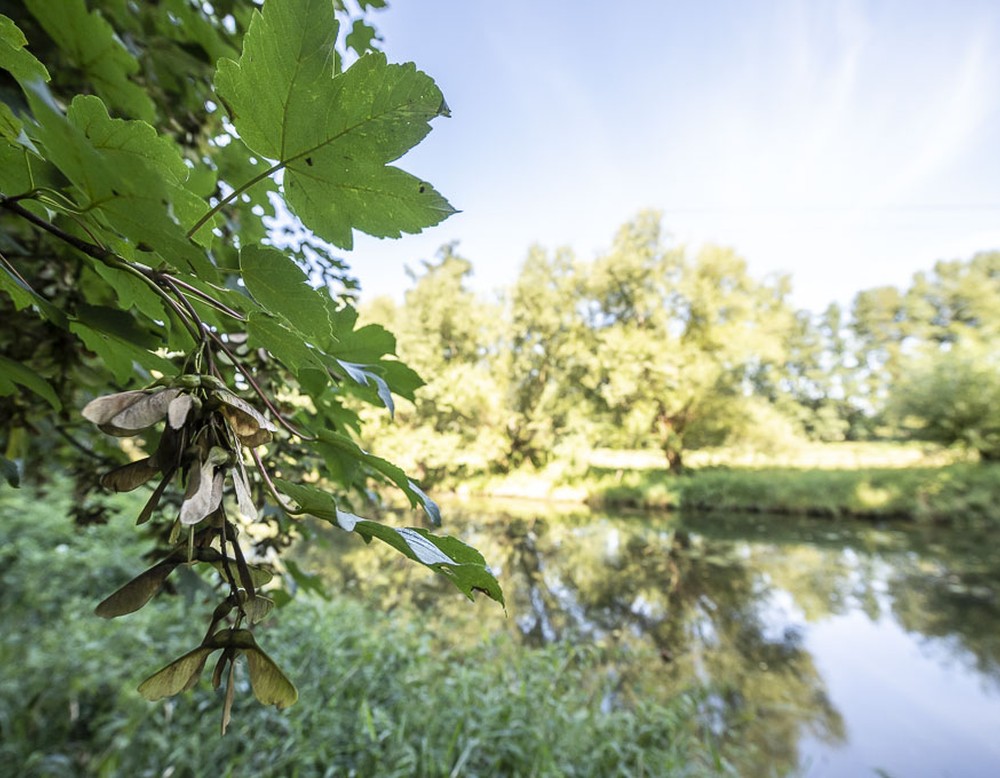 Sassenberg, historischer Tiergarten