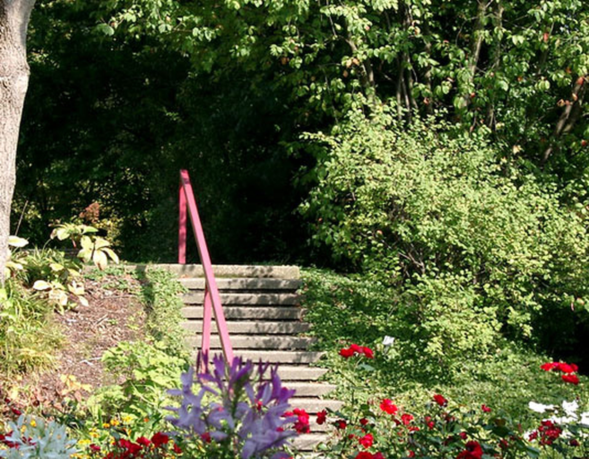 Eine Treppe im Botanischen Garten Bochum. Diese ist von zahlreichen Pflanzen und Blumen umgeben.