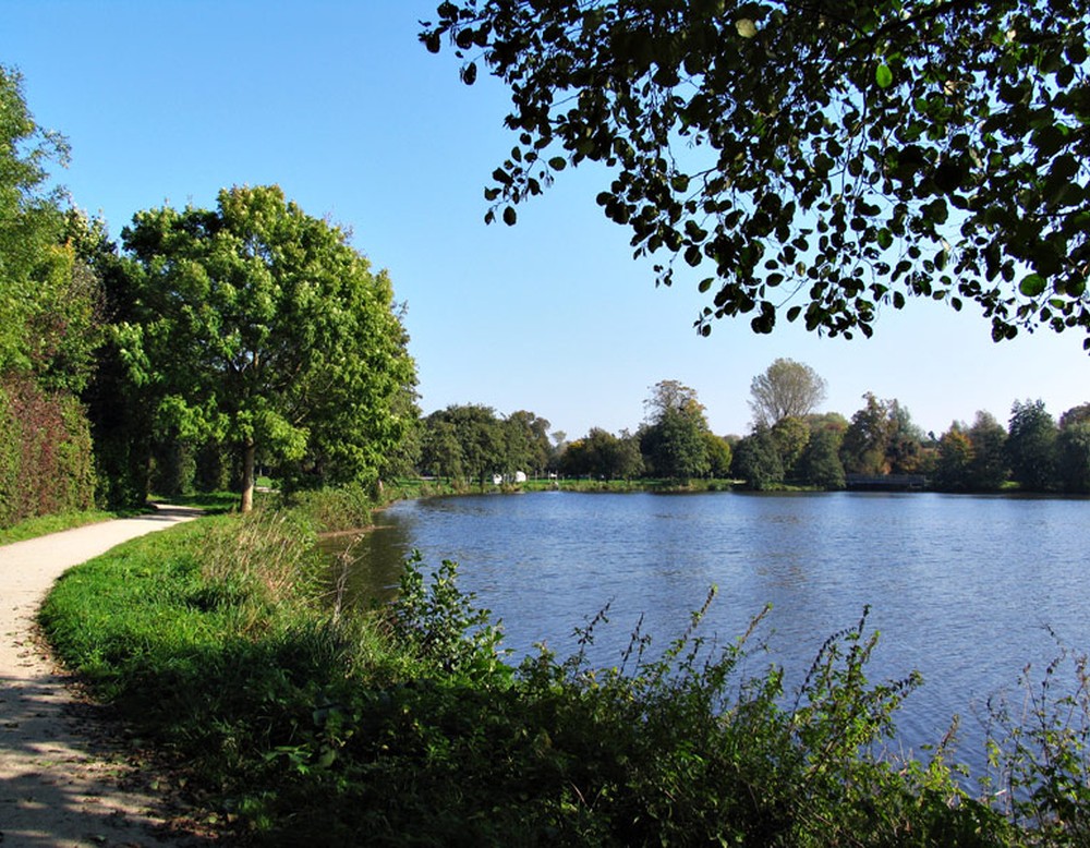 Der hier auf dem Bild sichtbare Weg führt einmal um den Pröbstingsee herum.