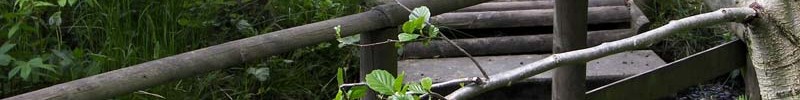 Der Barfußpfad der Gartenlandschaft Bad Wünnenberg. Hier ist der Abschnitt zu sehen, der durch den Bachlauf führt.