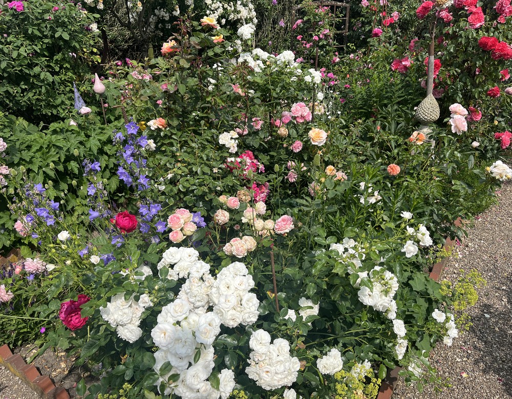 Rosengarten, Große Siestrup, Nordwalde