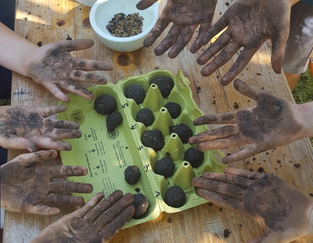 Seedballs selber machen im Maximilianpark Hamm.