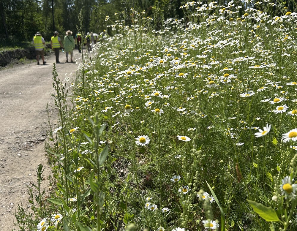 Akteurstreffen 2026 der Initiative "Gärten und Parks in Westfalen-Lippe" und der "IGA-Offenen Gartenpforte Ruhrgebiet" in Lünen.
