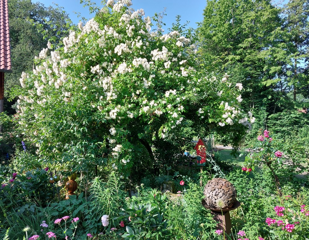 Garten Herbermann in Ostbevern