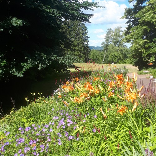 Detmold: Garten der Stille Kupferberg