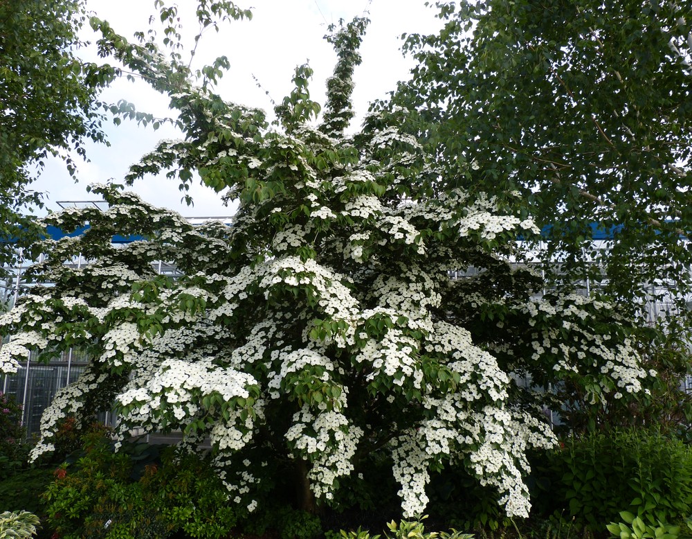 Erwitte-Seringhausen, Garten für Jung & Alt