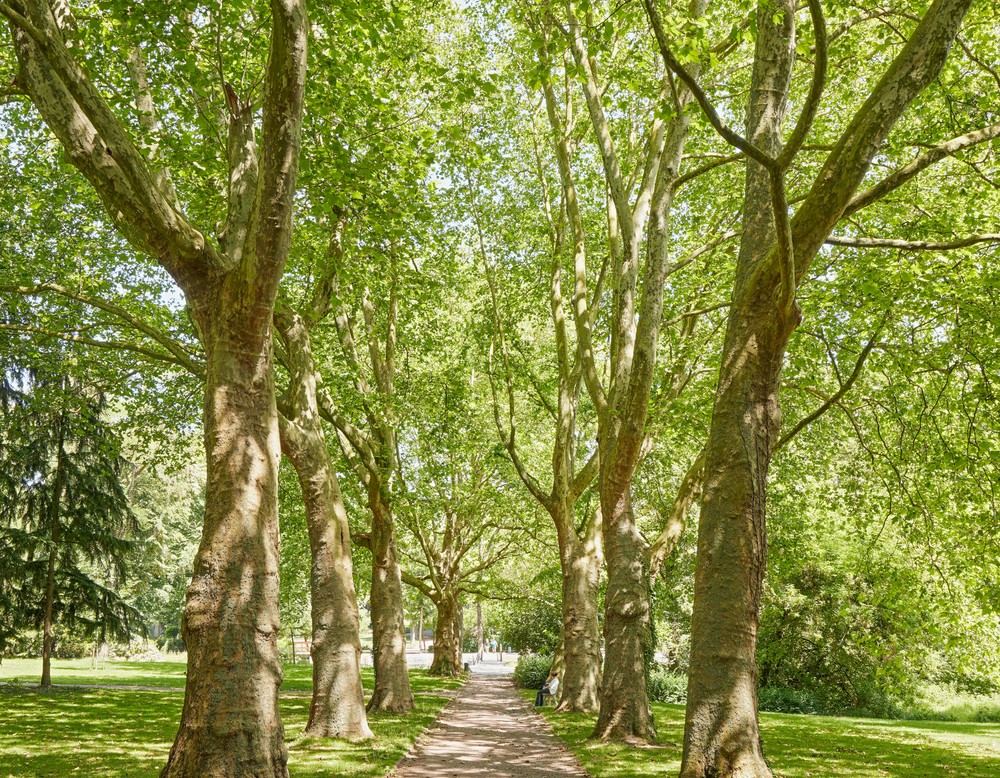 Kurpark Werl