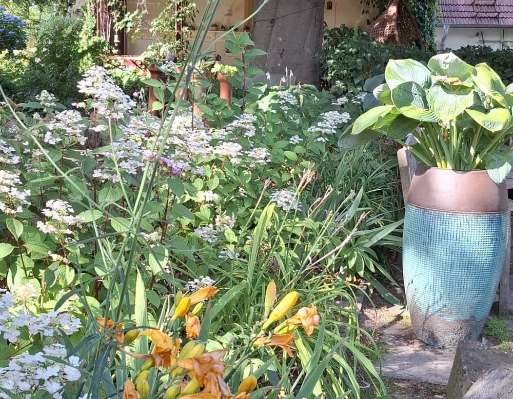 Schermbeck, Garten Paus