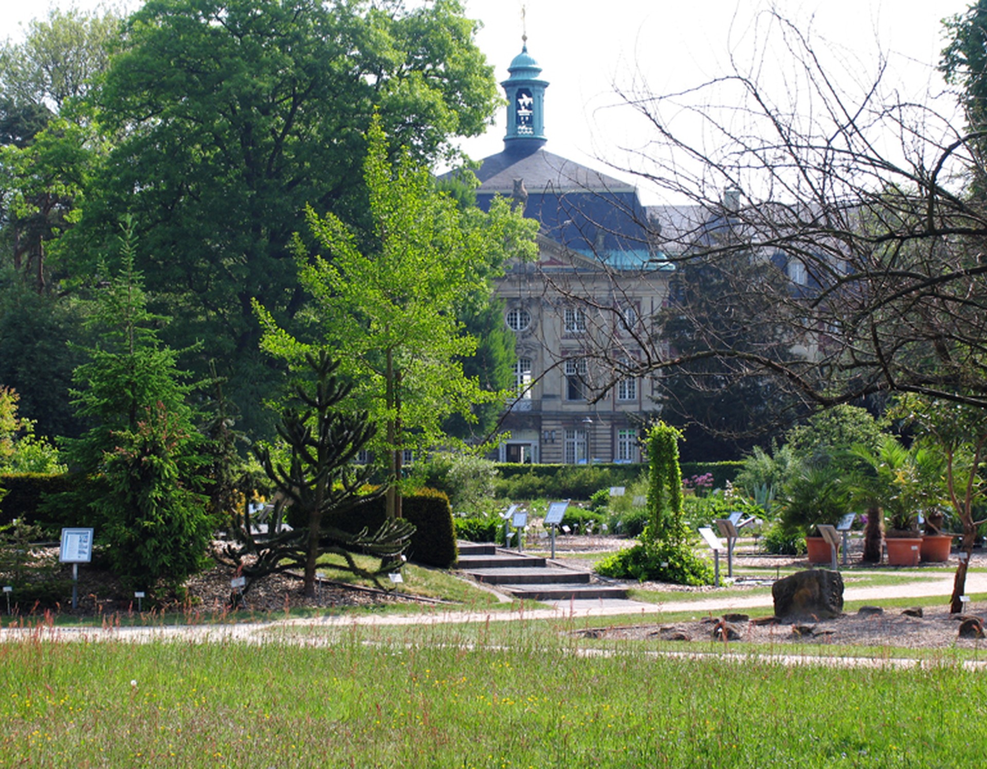 Münster, Botanischer Garten und Schlossgarten
