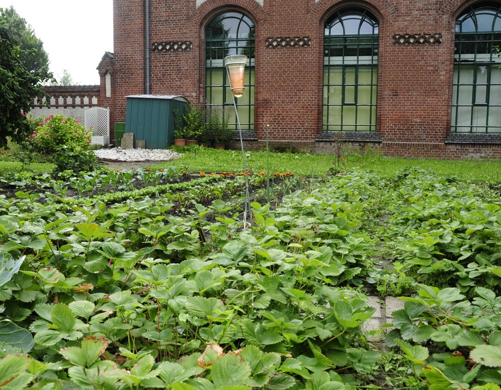 Dortmund, Arbeitergarten des LWL-Museum Zeche Zollern