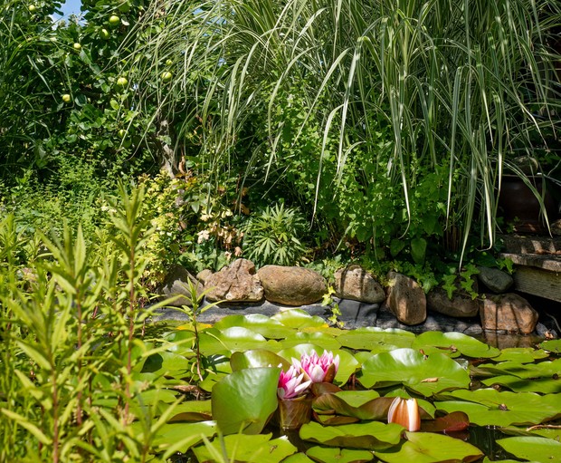 Paderborn_Garten Nowack