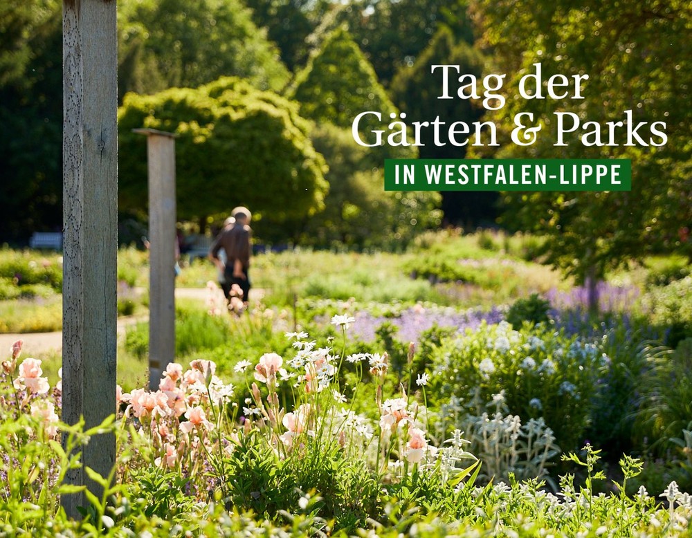 Gartenmotiv, Säulen, Fahrrad, Besucher:innen, Blumen, Bäume
"Tag der Gärten und Parks in Westfalen-Lippe"
