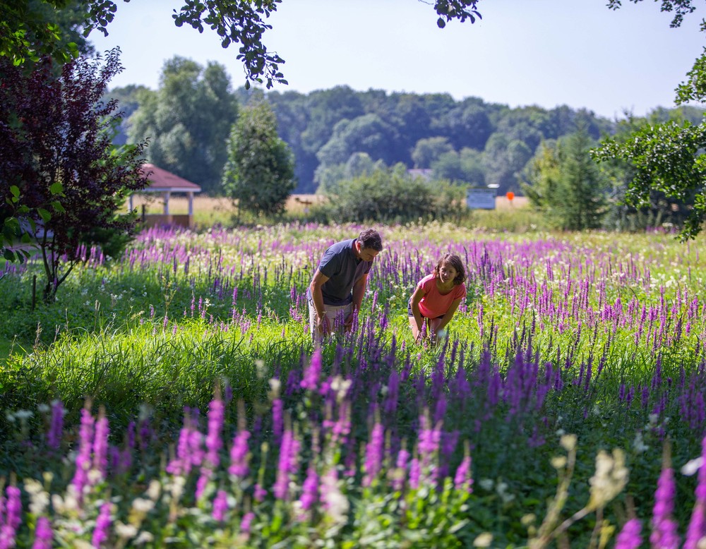 Kurpark Bad Holzhausen