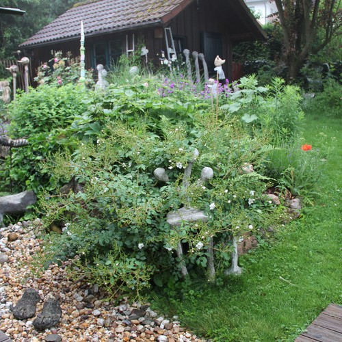 Lennestadt: Garten Helmut und Juliana Schmidt